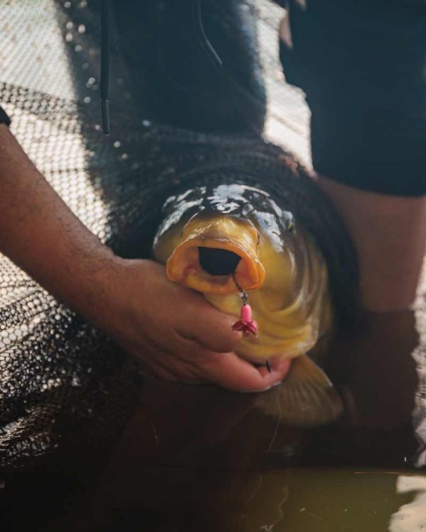 Fox EDGES™ Illusion Fluoro D-Rigs